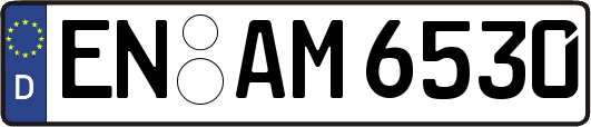 EN-AM6530