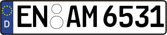 EN-AM6531