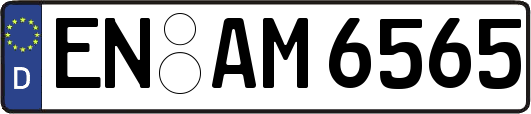 EN-AM6565