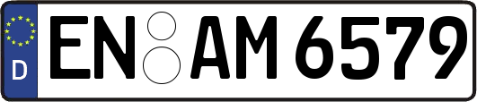 EN-AM6579