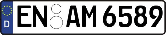 EN-AM6589