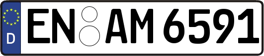 EN-AM6591