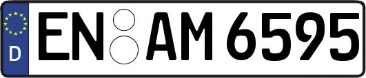 EN-AM6595