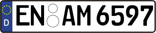 EN-AM6597