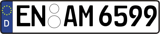 EN-AM6599