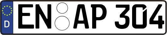 EN-AP304