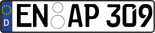 EN-AP309