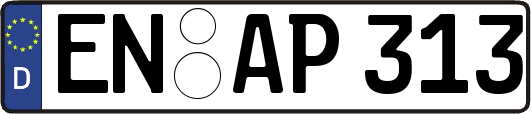EN-AP313