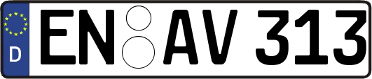 EN-AV313