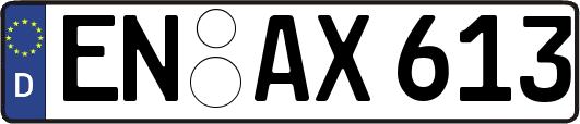 EN-AX613