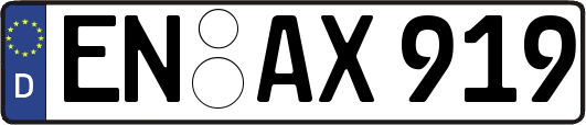 EN-AX919