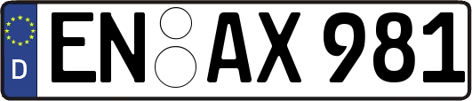 EN-AX981