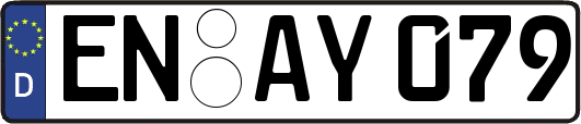 EN-AY079