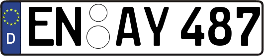 EN-AY487