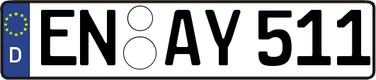 EN-AY511