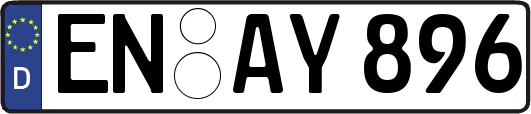 EN-AY896