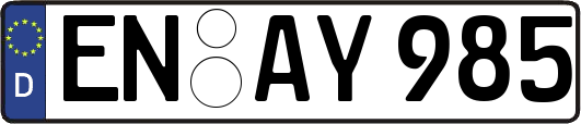 EN-AY985