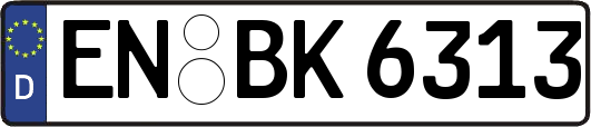 EN-BK6313