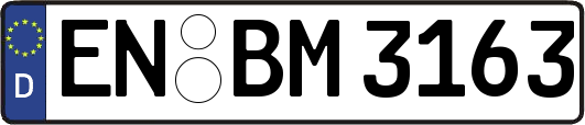 EN-BM3163