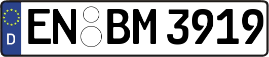 EN-BM3919