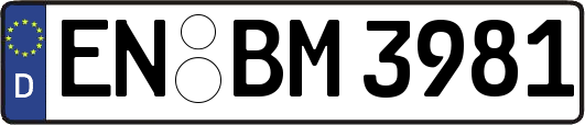 EN-BM3981