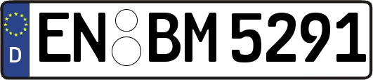 EN-BM5291