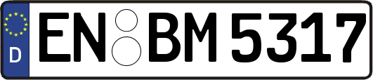 EN-BM5317