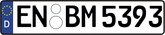 EN-BM5393