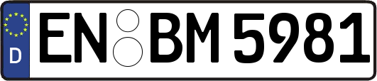 EN-BM5981