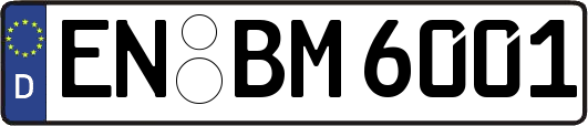 EN-BM6001