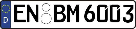 EN-BM6003