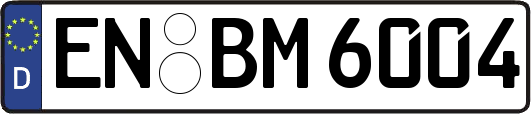 EN-BM6004