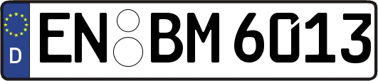 EN-BM6013