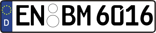 EN-BM6016