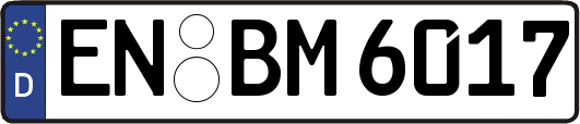 EN-BM6017