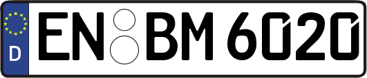 EN-BM6020