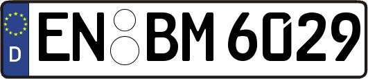 EN-BM6029