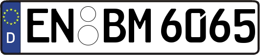 EN-BM6065