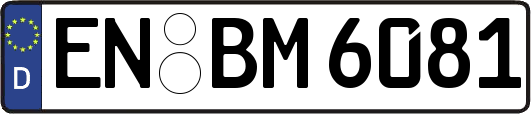 EN-BM6081