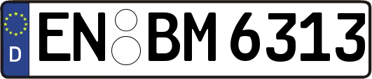 EN-BM6313