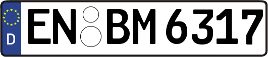 EN-BM6317