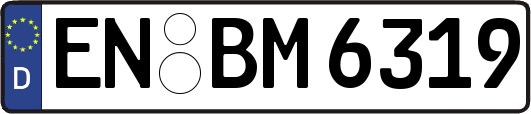 EN-BM6319