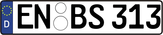 EN-BS313
