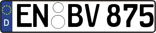 EN-BV875