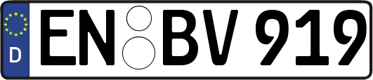 EN-BV919