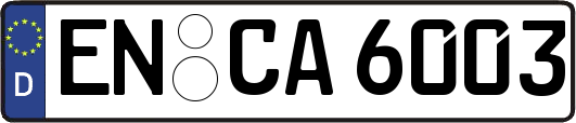 EN-CA6003