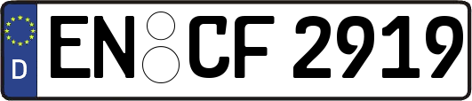 EN-CF2919