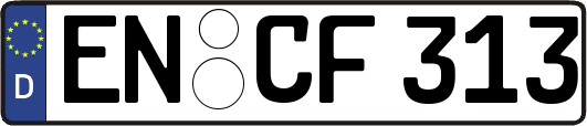 EN-CF313