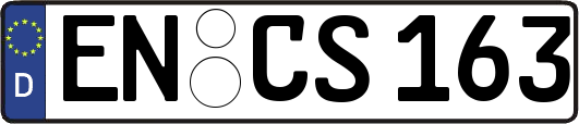 EN-CS163