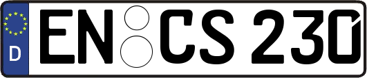 EN-CS230